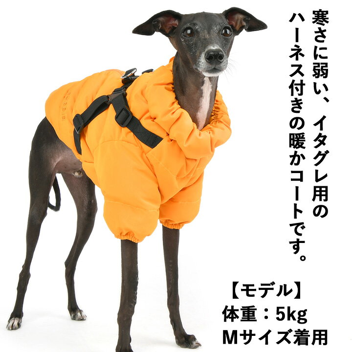 イタグレ服 S M 中綿 軽量 バックル ダウン コート 小型犬 中型犬 秋 冬服 防寒 イタグレ冬服 ハーネス付きアウター ハーネス一体型 背中開き 背中ファスナー M