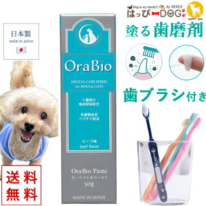    uV Zbg I[oCIy[Xg OraBio pf^PA f^PA f^ y[Xg f^WF WF WF y[Xg ݂͂ PA 