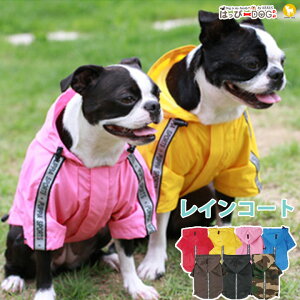 yyVX[p[SALEz   ̕ y͂ҁ[DOGz    CR[g h Jbp  H PUPPIA psA AEghA g yt  t t ĕ t ĕ t