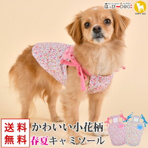 yŏI300~N[|z   ̕ y͂ҁ[DOGz L~\[ 킢 ̎q ԕ Ȃ PUPPIA psA yt  t t ĕ t ĕ ėpzy܁z