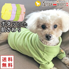 ＼最終日★300円クーポン／ 犬 服 犬服 いぬ 犬の服 カットソー Tシャツ ハイネック 暖かい 袖あり おしゃれ 【春 夏 春夏 春服 夏服 春物 夏物 春服】