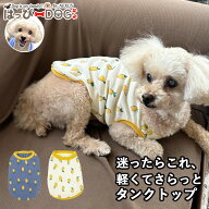 犬 服 犬服 いぬ 犬の服 着せやすい タンクトップ 袖なし ノースリーブ レモン柄 フルーツ柄 【春 夏 春…