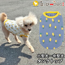 犬 服 犬服 いぬ 犬の服 着せやすい タンクトップ 袖なし ノースリーブ レモン柄 フルーツ柄 【春 夏 春夏 春服 夏服 春物 夏物 春服】