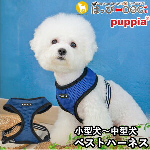 n[lX  ̕SȂ ^ ^ q psA PUPPIA  n[lXp ̃n[lX _炩 xXgn[lX ps[ ^ ɏ ȒP Ȃ ɂ EȂ 