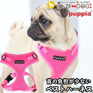 n[lX lIJ[  ̕SȂ ^ ^ q psA PUPPIA  n[lXp ̃n[lX _炩 xXgn[lX ps[ ^ ɏ ȒP Ȃ EȂ