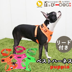n[lX [h Zbg lIJ[  ̕SȂ ^ ^ q psA PUPPIA  n[lXp ̃n[lX _炩 xXgn[lX ps[ ^ ɏ ȒP 