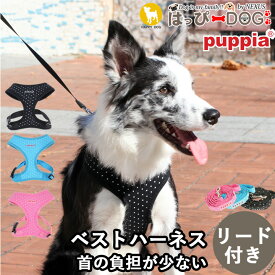 ハーネス リード ドット柄 犬 首の負担が少ない 小型犬 中型犬 子犬 パピア PUPPIA 可愛い ハーネス犬用 犬のハーネス 柔らかい ベストハーネス パピー 超小型犬 極小 簡単装着 抜けない 脱げない 胴輪 シニア犬 【春 夏 春夏 春服 夏服 春物 夏物 春服】