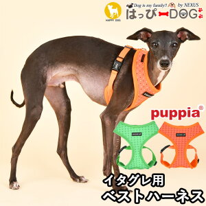 n[lX C^O EBybg hbg  ̕SȂ ^ ^ q psA PUPPIA  ̃n[lX _炩 xXgn[lX ps[ ^ ɏ ȒP Ȃ 