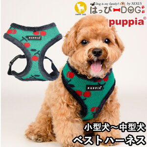 n[lX  ̕SȂ ^ ^ q psA PUPPIA  n[lXp ̃n[lX _炩 xXgn[lX ps[ ^ ɏ ȒP Ȃ ɂ EȂ 