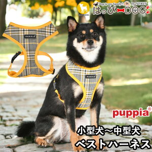 n[lX 璹 `FbN  ̕SȂ ^ ^ q psA PUPPIA  n[lXp ̃n[lX _炩 xXgn[lX ps[ ^ ɏ ȒP Ȃ 