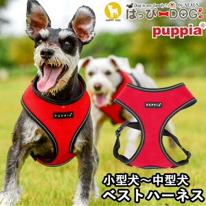 n[lX  ̕SȂ ^ ^ q psA PUPPIA  n[lXp ̃n[lX _炩 xXgn[lX ps[ ^ ɏ ȒP Ȃ ɂ EȂ 