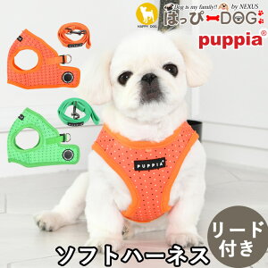 n[lX [h Zbghbg  ̕SȂ ^ ^ q psA PUPPIA  n[lXp ̃n[lX _炩 xXgn[lX ps[ ^ ɏ ȒP Ȃ