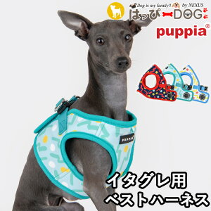 ハーネス 犬 イタグレ ドット柄 首の負担が少ない 小型犬 中型犬 子犬 パピア PUPPIA 可愛い ハーネス犬用 犬のハーネス 柔らかい ベストハーネス パピー 超小型犬 極小 簡単装着 抜けない 脱