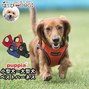 n[lX  ̕SȂ ^ ^ q psA PUPPIA  n[lXp ̃n[lX _炩 xXgn[lX ps[ ^ ɏ ȒP Ȃ ɂ EȂ 