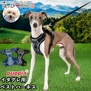 n[lX C^O  ̕SȂ ^ ^ q psA PUPPIA  n[lXp ̃n[lX _炩 xXgn[lX ps[ ^ ɏ ȒP Ȃ ɂ 