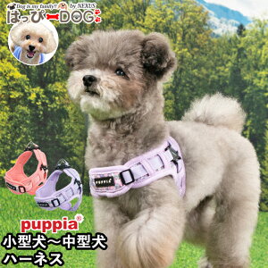 n[lX  ̕SȂ ԕ ^ ^ q psA PUPPIA  n[lXp ̃n[lX _炩 ps[ ^ ɏ ȒP Ȃ ɂ EȂ  VjA