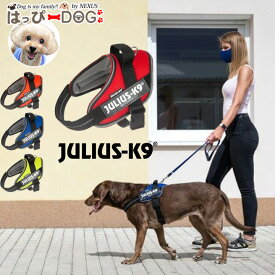 【楽天スーパーSALE★10%OFF】 ハーネス 犬 Julius-K9 ユリウスケーナイン メッシュタイプ IDCパワーサマーハーネス 小型犬 中型犬 大型犬 子犬 ハーネス犬用 犬のハーネス 胴輪 シニア犬 【秋 冬 秋冬 秋服 冬服 秋物 冬物 秋服】
