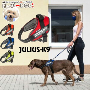 n[lX  Julius-K9 EXP[iC bV^Cv IDCp[T}[n[lX ^ ^ ^ q n[lXp ̃n[lX Ȃ ɂ EȂ  VjA yH 