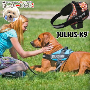yyVX[p[SALEzn[lX  Julius-K9 EXP[iC IDCp[n[lX ^ ^ ^ q n[lXp ̃n[lX Ȃ ɂ EȂ  VjA 