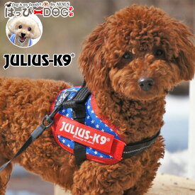 ハーネス 犬 Julius-K9 ユリウスケーナイン IDCパワーハーネス 小型犬 中型犬 大型犬 子犬 ハーネス犬用 犬のハーネス 抜けない 抜けにくい 脱げない 胴輪 シニア犬 【秋 冬 秋冬 秋服 冬服 秋物 冬物 秋服】