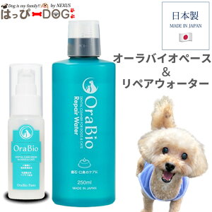   I[oCIy[Xg yAEH[^[ Zbg }EXEHbV sv OraBio pf^PA f^PA f^ y[Xg f^WF WF WF 