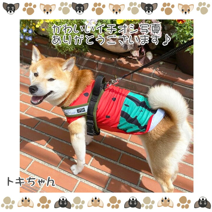 楽天市場】犬 服 犬服 犬の服 【はっぴーDOG】 タンクトップ 袖なし 