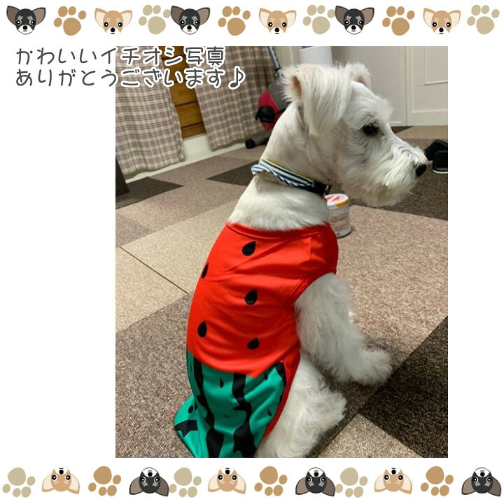 楽天市場】犬 服 【楽天ランキング1位】 犬服 いぬ 犬の服 タンクトップ 袖なし 袖無し フルーツ スイカ柄 ソフトメッシュ クール 涼しい ドッグウェア 【春 夏 春夏 春服 夏服 春物 夏物】【男の子 小型犬 中型犬】 : かわいい犬服屋さん はっぴーDOG! 楽天市場】犬 服 【楽天ランキング1位】 犬服 いぬ 犬の服 タンクトップ 袖なし 袖無し フルーツ スイカ柄 ソフトメッシュ クール 涼しい ドッグウェア 【春 夏 春夏 春服 夏服 春物 夏物】【男の子 小型犬 中型犬】 : かわいい犬服屋さん はっぴーDOG!