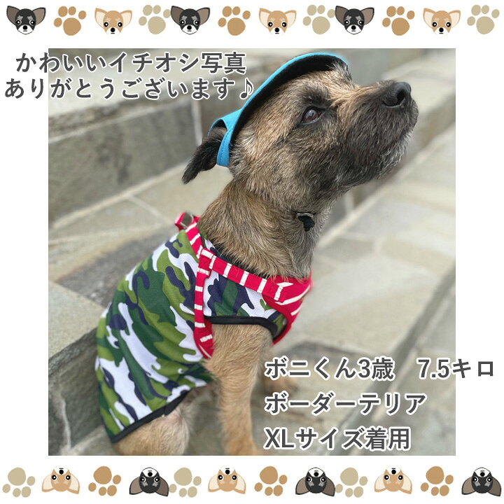 楽天市場】犬 服 犬服 犬の服 【はっぴーDOG】 タンクトップ 袖なし 