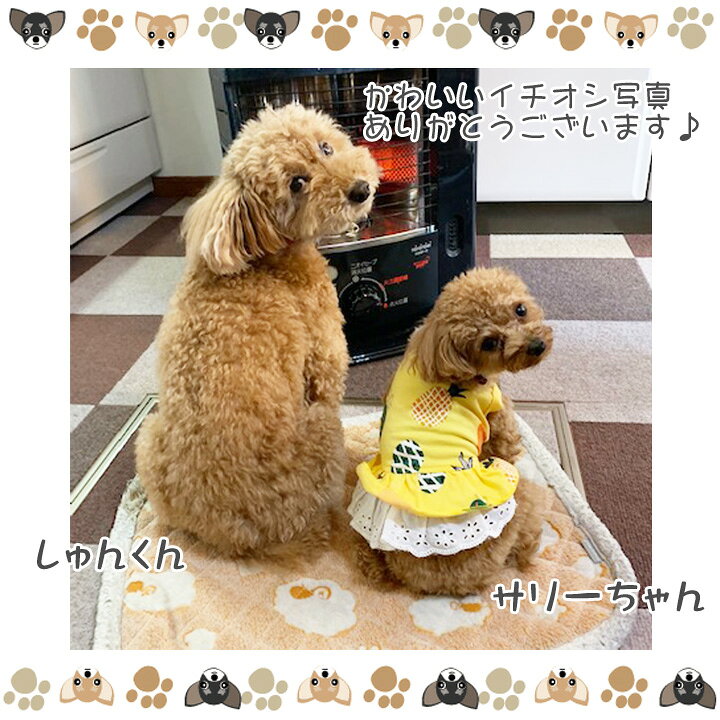楽天市場 1着半額クーポン 犬 服 ワンピース 春 かわいい 女の子 犬服 いぬ 犬の服 タンクトップ 袖なし ノースリーブ 袖無し 涼しい フリル ふりふり ドット柄 レース ショート丈 暖かい 秋 冬 秋冬 秋服 冬服 秋物 冬物 冬用 福袋 中型犬 サイズ はっ 楽天市場 1着半額クーポン 犬 服 ワンピース 春 かわいい 女の子 犬服 いぬ 犬の服 タンクトップ 袖なし ノースリーブ 袖無し 涼しい フリル ふりふり ドット柄 レース ショート丈 暖かい 秋 冬 秋冬 秋服 冬服 秋物 冬物 冬用 福袋 中型犬 サイズ はっ