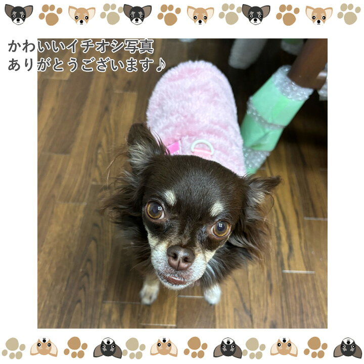 楽天市場】犬 服 犬服 犬の服 【はっぴーDOG】 トイプードル フリース 