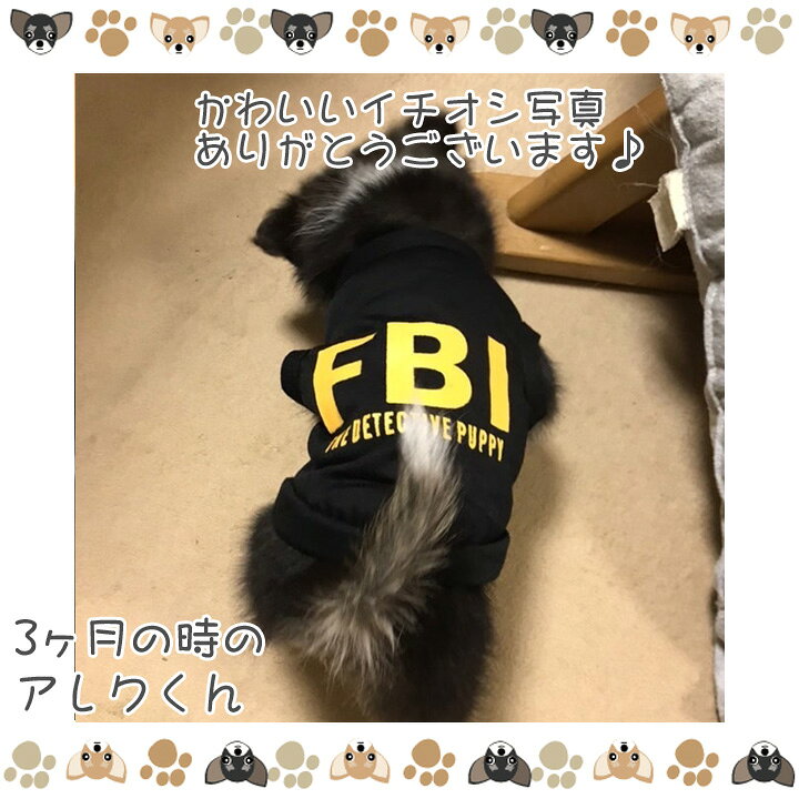 楽天市場 カッコ可愛いfbiロゴタンクトップ 犬 服 犬服 ドッグウェア タンクトップ 袖なし Fbi 秋 冬 秋冬 冬服 おしゃれ 可愛い 女の子 男の子 トイプードル チワワ 洋服 はっぴーdog