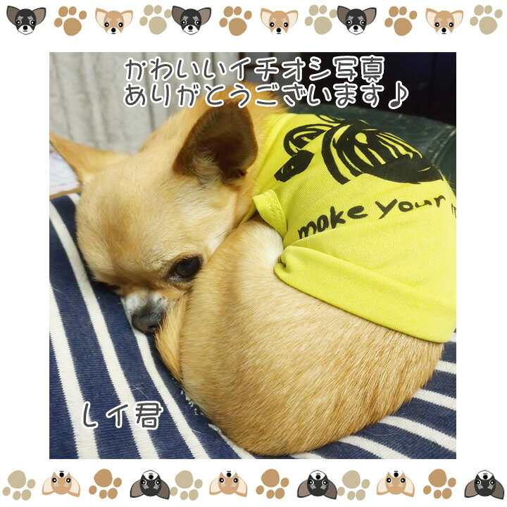 快適性 袖なし 小型犬 プレゼント 人気 かわいい服 猫用ウェア ウェア 服 おしゃれ 夏服 大型犬用品 中型犬 ペット 犬 犬用ウェア 7サイズ