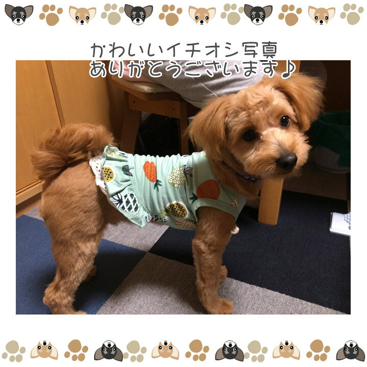 楽天市場 犬 服 ワンピース 春 かわいい 女の子 犬服 いぬ ドッグウェア フルーツ柄 リゾート パイナップル タンクトップ 袖なし アロハ 春 夏 春夏 夏服 春物 中型犬 サイズ かわいい犬服屋さん はっぴーdog 楽天市場 犬 服 ワンピース 春 かわいい 女の子 犬服 いぬ ドッグウェア フルーツ柄 リゾート パイナップル タンクトップ 袖なし アロハ 春 夏 春夏 夏服 春物 中型犬 サイズ かわいい犬服屋さん はっぴーdog