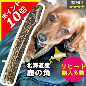 【本日限定ポイント10倍】鹿の角 犬のおもちゃ 半割 ロング 20cm 北海道 かじる 天然 犬 おもちゃ 鹿角 鹿 角 国産 噛む おやつ ドッグガム デンタルケア 歯磨き デンタル効果 対策 無添加 壊れ