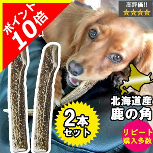 y{|Cg10{zy2{Zbgz̊p ̂  O 20cm kC  VR   p  p Y   hbOK f^PA  f^