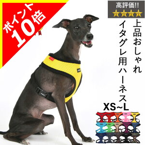 y{|Cg10{zn[lX C^O ̕Sy \tgxXgn[lX n[lX  ̕SȂ ^ q psA PUPPIA  t@bV n[lXp ̃n[lX