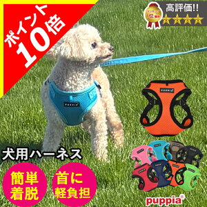 y{|Cg10{zn[lX  ̕SȂ ^ ^ q y͂ҁ[DOGz psA PUPPIA  t@bV n[lXp ̃n[lX _炩 xXgn[lX ps[ 