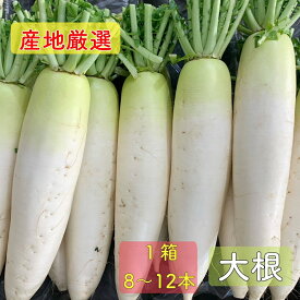 【産地厳選】大根 だいこん ダイコン 10kg 8〜12本入 野菜【クール便でお届け】楽天市場 ログイン 購入履歴 ポイント消化 【送料無料（一部地域省く）】