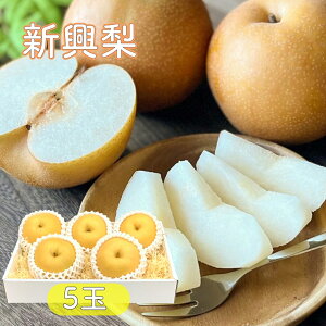 y10{蔭zV  Ȃ Yn܂  2kg5 ϔ ԗ ʕ  j jԂ av[g {̃t[c v[g   V F{ 