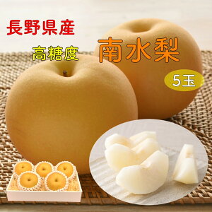 y10{蔭z쐅 쐅  Ȃ @5 ϔ ԗ 䒆 ~ʕ  j jԂ av[g {̃t[c v[g  쌧Y hV̓