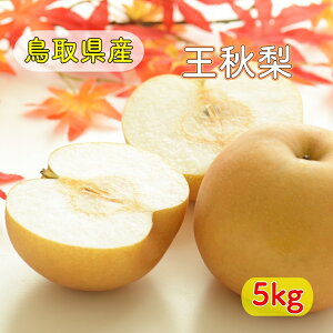 y11㒆{蔭zH  Ȃ TCY܂ 6`12 5kg  ԗ 䒆 ~ʕ  j jԂ av[g {̃t[c v[g ߁@挧Y