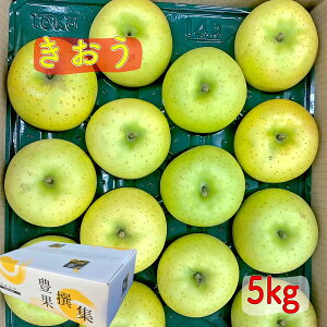 y9{蔭zXY   5kg(12`18)  S ь T  t[cZbg Mtg   a VNʕ j l  ʕ XC[c f