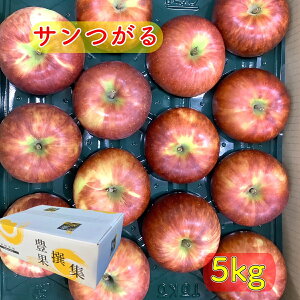 y9{蔭zXY  T  5kg(12`18)  S ь T t[cZbg Mtg   a VNʕ j l ӂ 