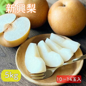y10{蔭zV  Ȃ Yn܂ 󂠂y(ꕔnȂ)z 5kg 10`14 ԗ 䒆 ~ʕ  j jԂ av[g {̃t[c v[