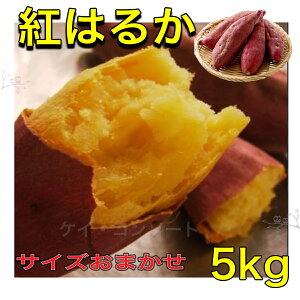 さつまいも 紅はるか 5kg さつま芋 サツマイモ 茨城県産 鹿児島県産 甘い サイズおまかせ 生芋 野菜 果物 母の日 お中元 お歳暮 贈り物 贈答 プレゼント 新鮮