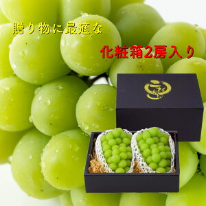 y8{蔭\zVC}XJbg ϔ2[ 1[600g`700g Yn܂ Ԃǂ  ʕ t[c Y t[cMtg hV̓Mtg ʕMtg  t[cZbg 