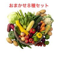 野菜セット おためし 国産野菜セット 野菜詰め合わせ やさい 8種類入り フードロス おまかせ 野菜 定番 …