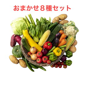 【ポイント 2倍】野菜セット おためし 国産野菜セット 野菜詰め合わせ やさい 8種類入り フードロス おまかせ 野菜 定番 使いやすい定番野菜 贈り物 父の日 敬老の日 旬の野菜 ポイント消化 買い周り 詰め合わせ 訳あり わけあり 贈り物 ギフト 箱買い