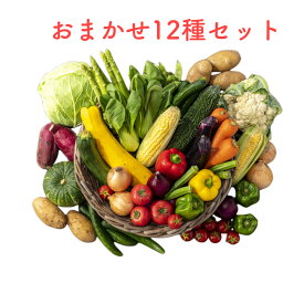 【ポイント5倍】野菜セット お試し 国産野菜セット 旬野菜 詰め合わせ やさい 12種類 新鮮野菜 詰め合わせ 新鮮 野菜 旬の野菜 詰合せ フードロス 贈り物 楽天市場 ログイン 購入履歴 野菜 送料無料（一部地域省く）わけあり 訳あり 箱買い ギフト 敬老の日