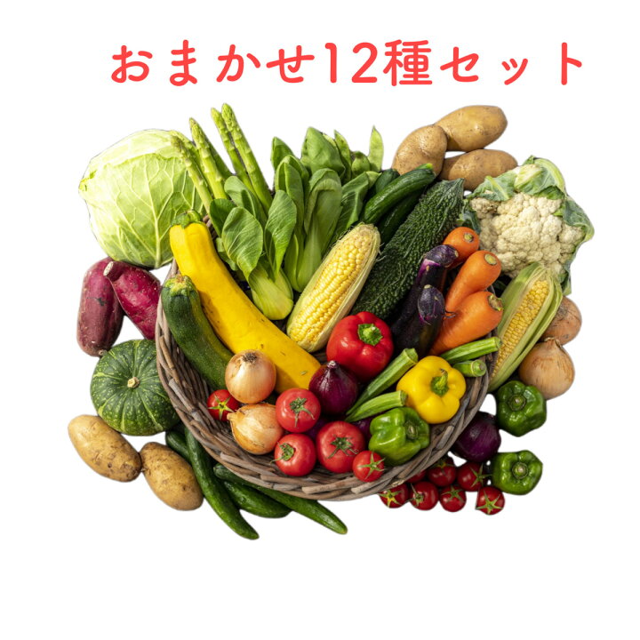 楽天市場】野菜セット お試し 国産野菜セット 旬野菜 詰め合わせ 